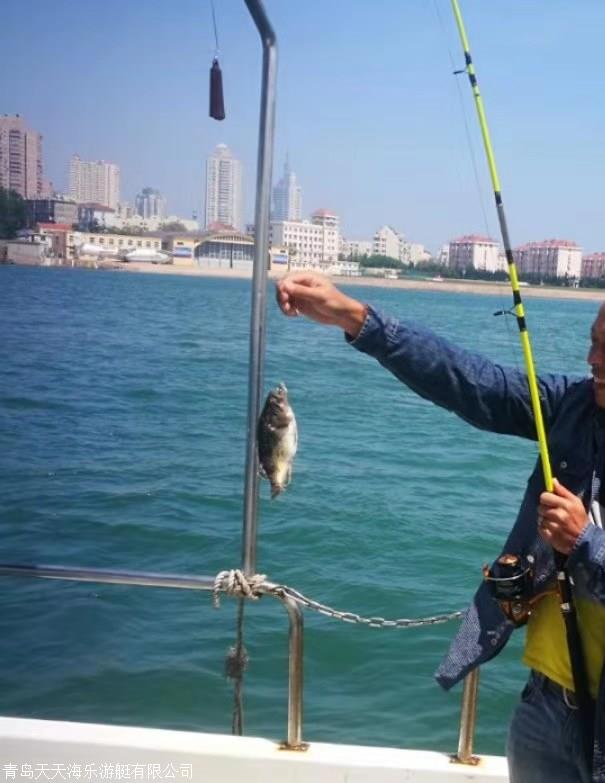 青島出海釣魚海釣大概多少錢