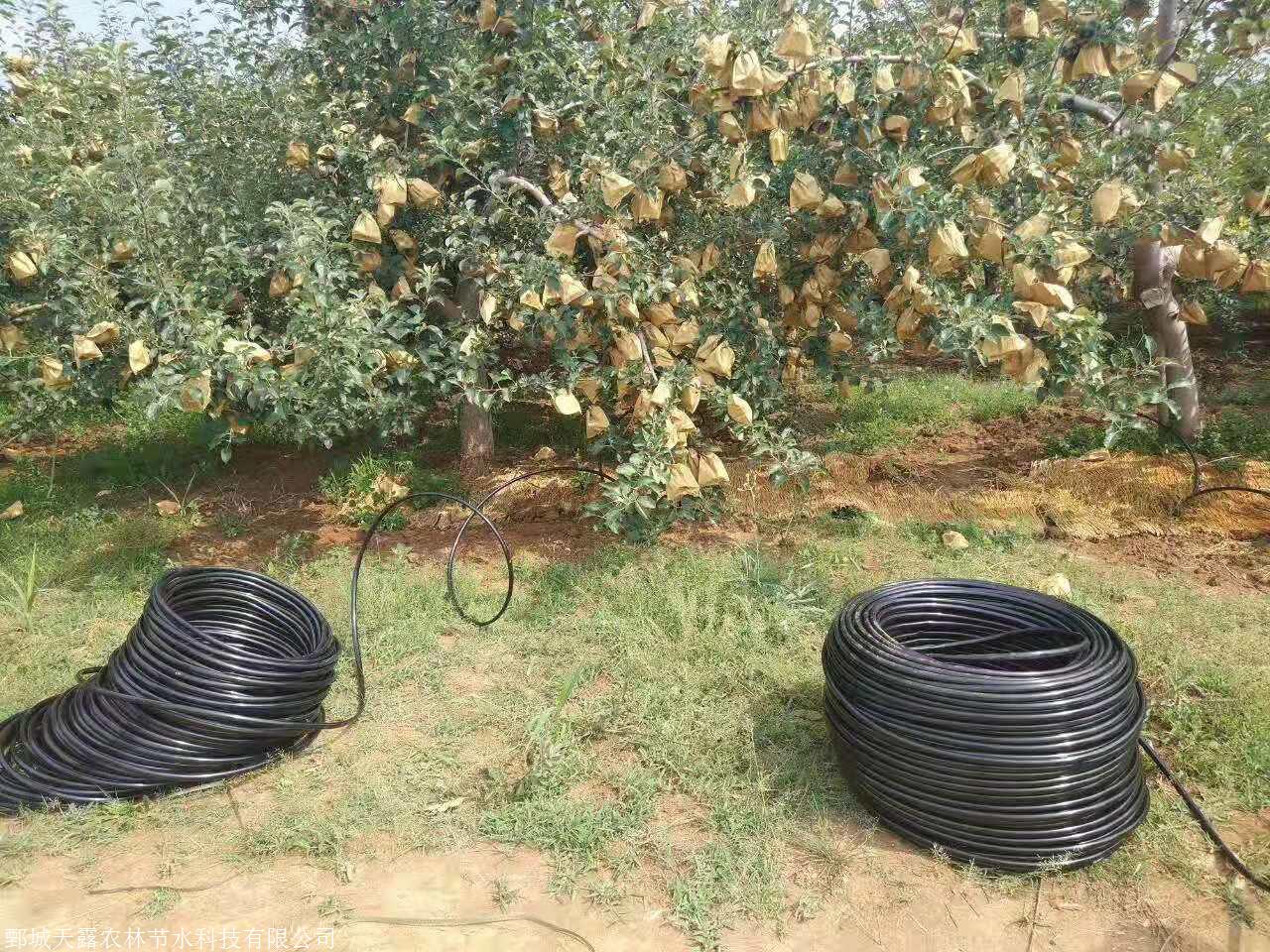 江西九江果园滴灌设备果树施肥器瑞金果树滴灌