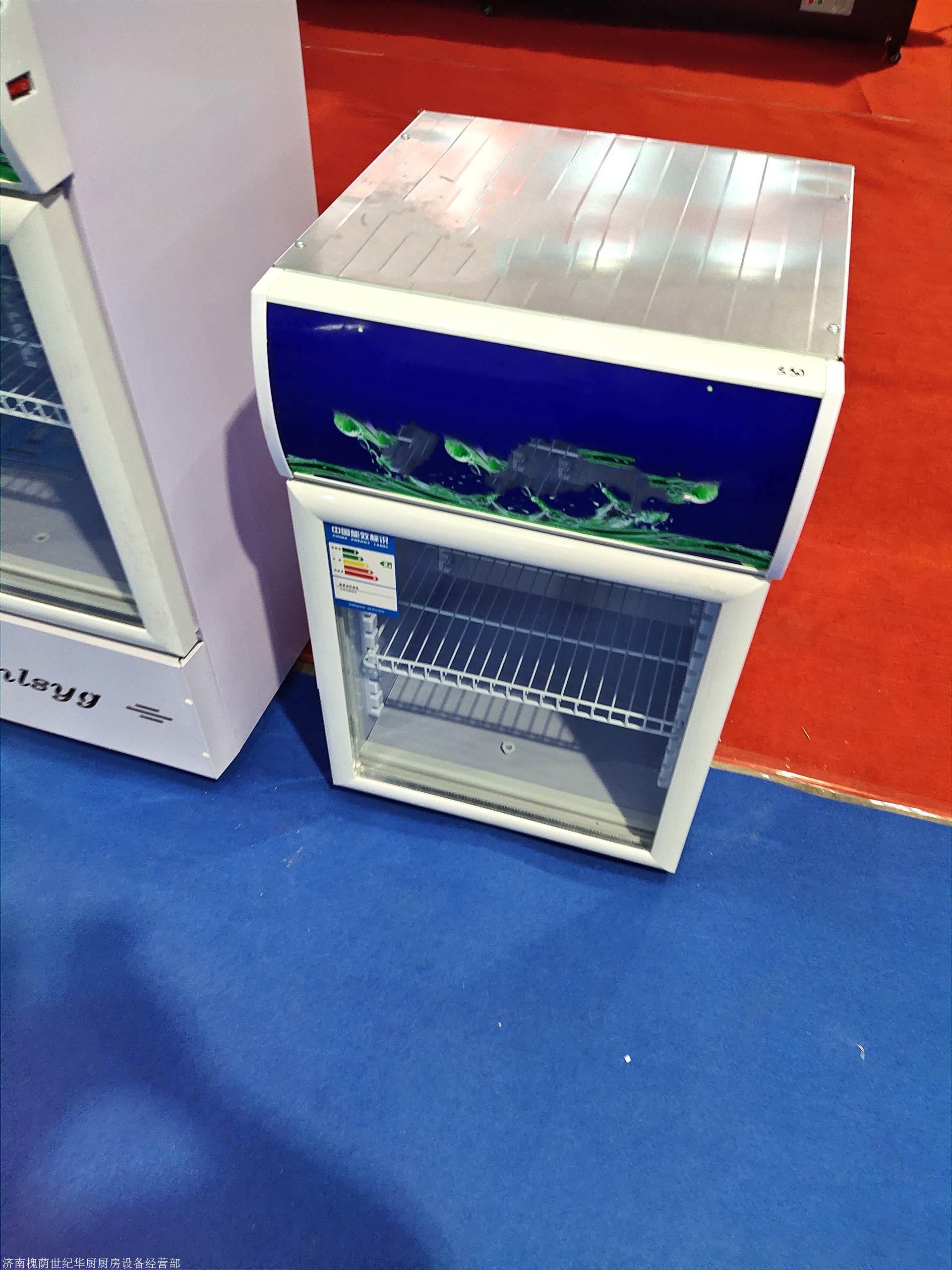 小型单门食品留样柜 小型保鲜柜 小型食品留样柜价格