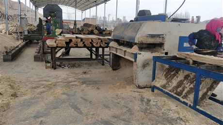 无锡杨木方 杨木板 木材加工厂