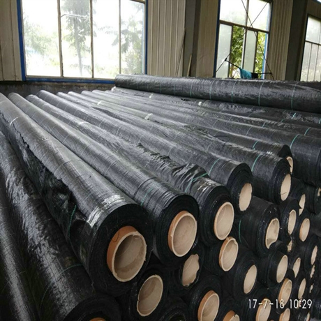 河北防草布厂家，河北防草布价格，果园除草地布定制型号