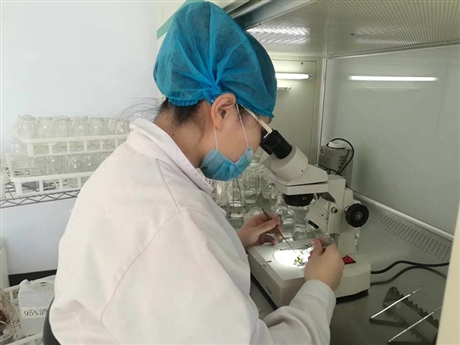河南組培室儀器設(shè)備   南陽(yáng) 商丘 信陽(yáng) 周口 駐馬店 組培室