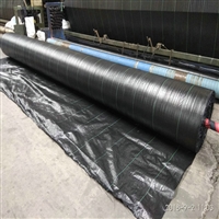 河南防草布厂家，河南苹果园除草地布 PP防草布厂家