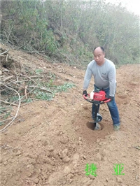 植树挖坑机手扶挖洞无需外力援助