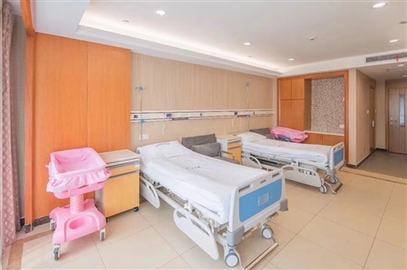 手动三摇护理床 专用生产  FA-6 手动护理床厂家