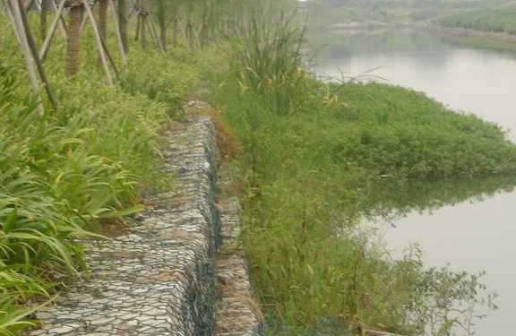 铅丝石笼防洪抢险a铅丝石笼生产厂家