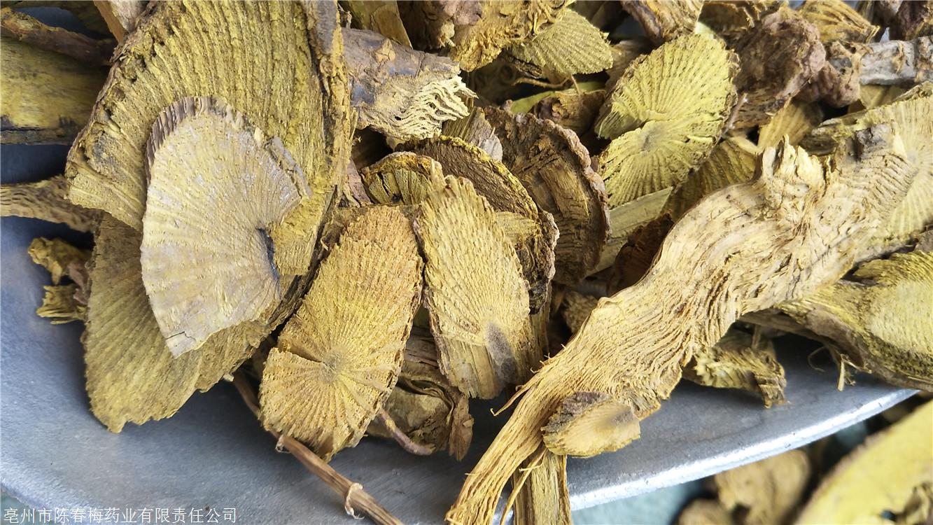 供应中药材黄根黄根今日价格