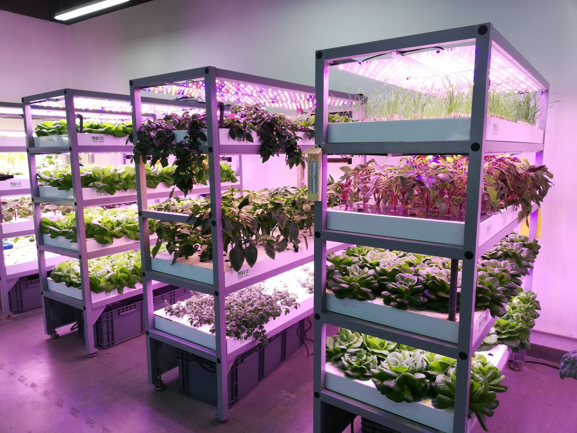 科技农业种子育苗智能植物工厂种植架水培蔬菜立式种植模组-搜了网