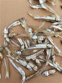 中国好的脆肉鱼脆肉鱼批发脆肉鱼价格大嘴鱼乡健康美味