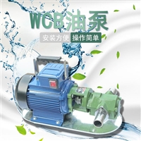 WCB30齿轮油泵手提式抽油泵