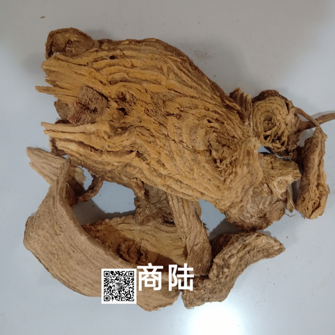 供应商陆花商陆产地直销