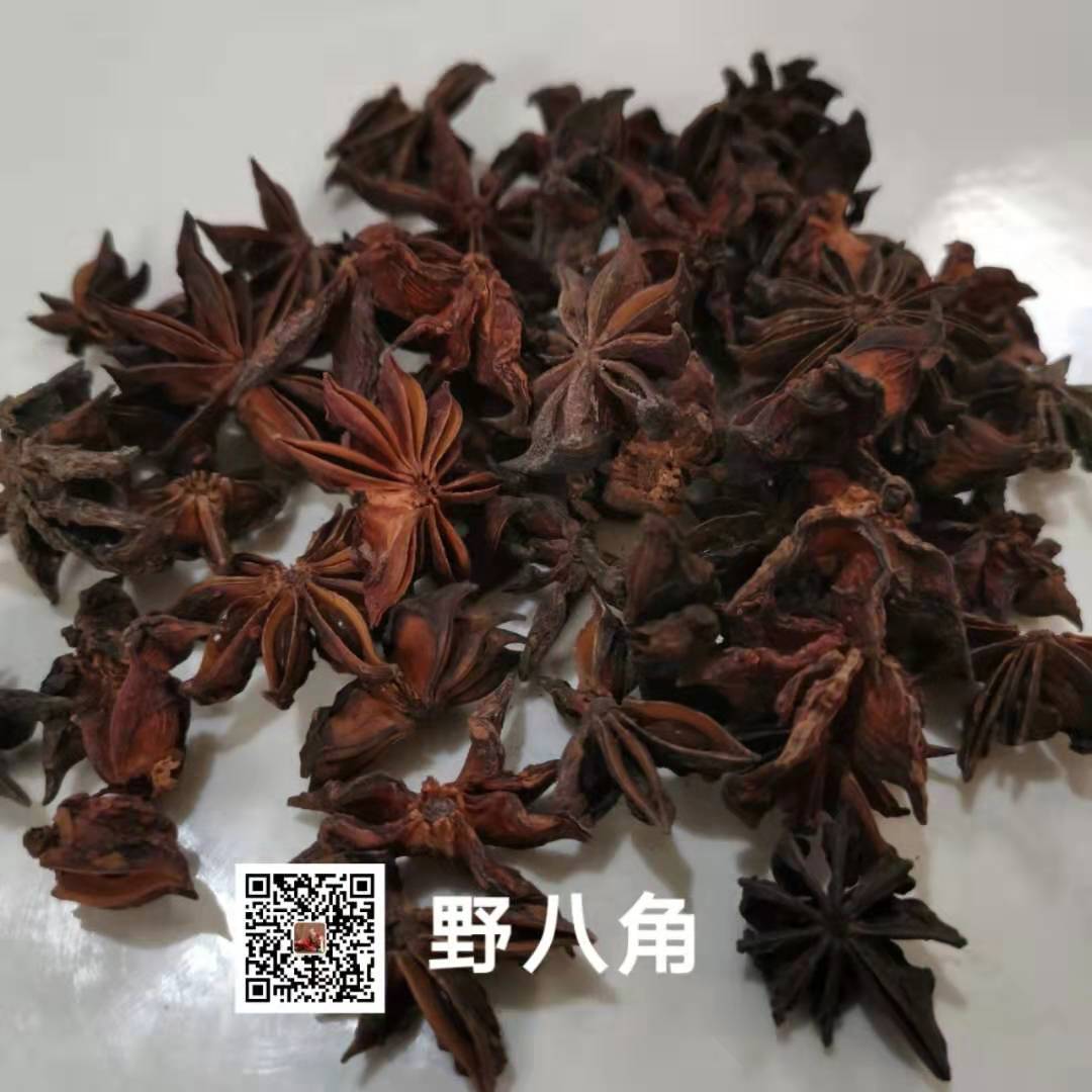 供應野八角 產品描述樹救主拼音shù jiù zhǔ別名