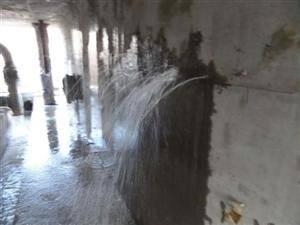 供应海城防水堵漏公司slg滴水不漏
