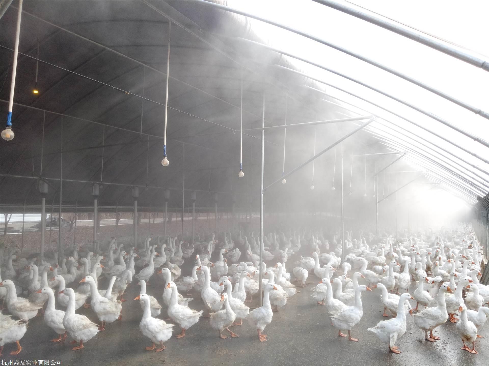 养殖场高压微雾系统用途 除臭消毒降
