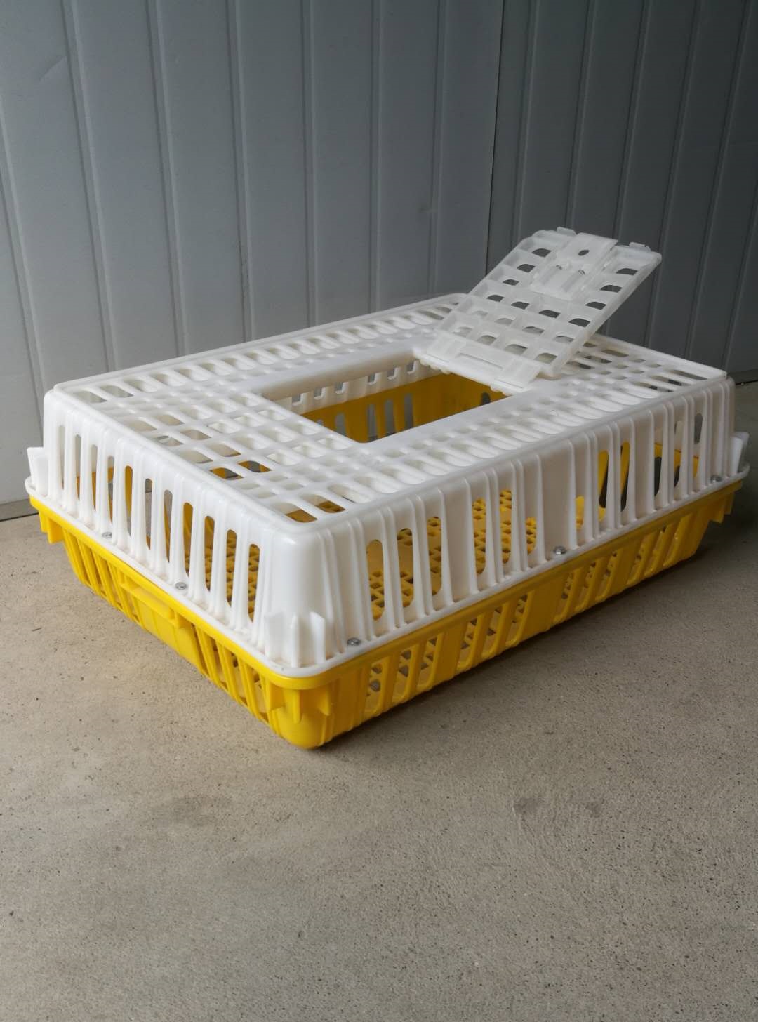 广西成鸡运输笼塑料鸡笼