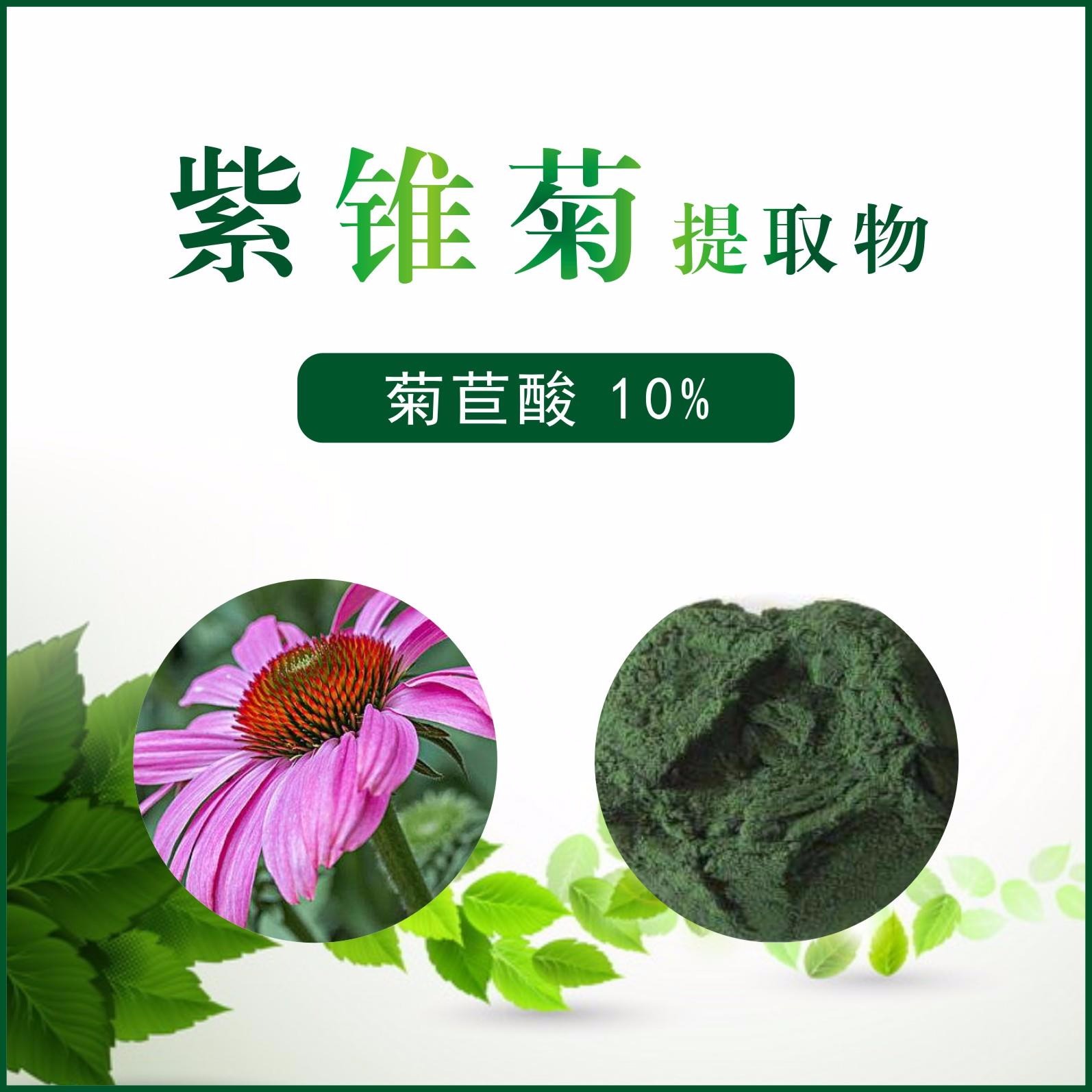 紫锥菊提取物/菊苣酸10