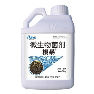 生根剂哪个牌子好-生根剂根暴海和威海餐沃根暴