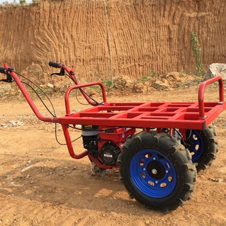 加厚车斗运输车 果蔬施肥双轮车