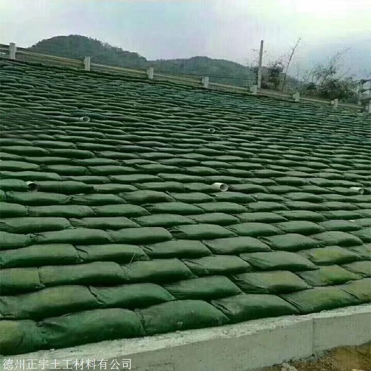 编织袋无纺布袋有纺布装土袋聚丙烯装沙袋聚乙烯抗老化袋