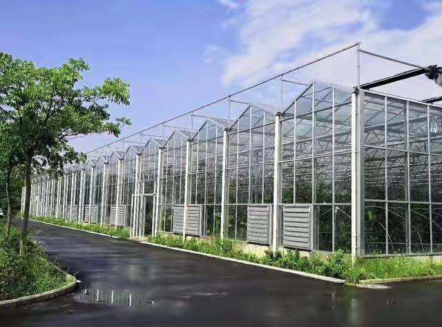 中荷润农产品系列之现代化生产玻璃温室介绍