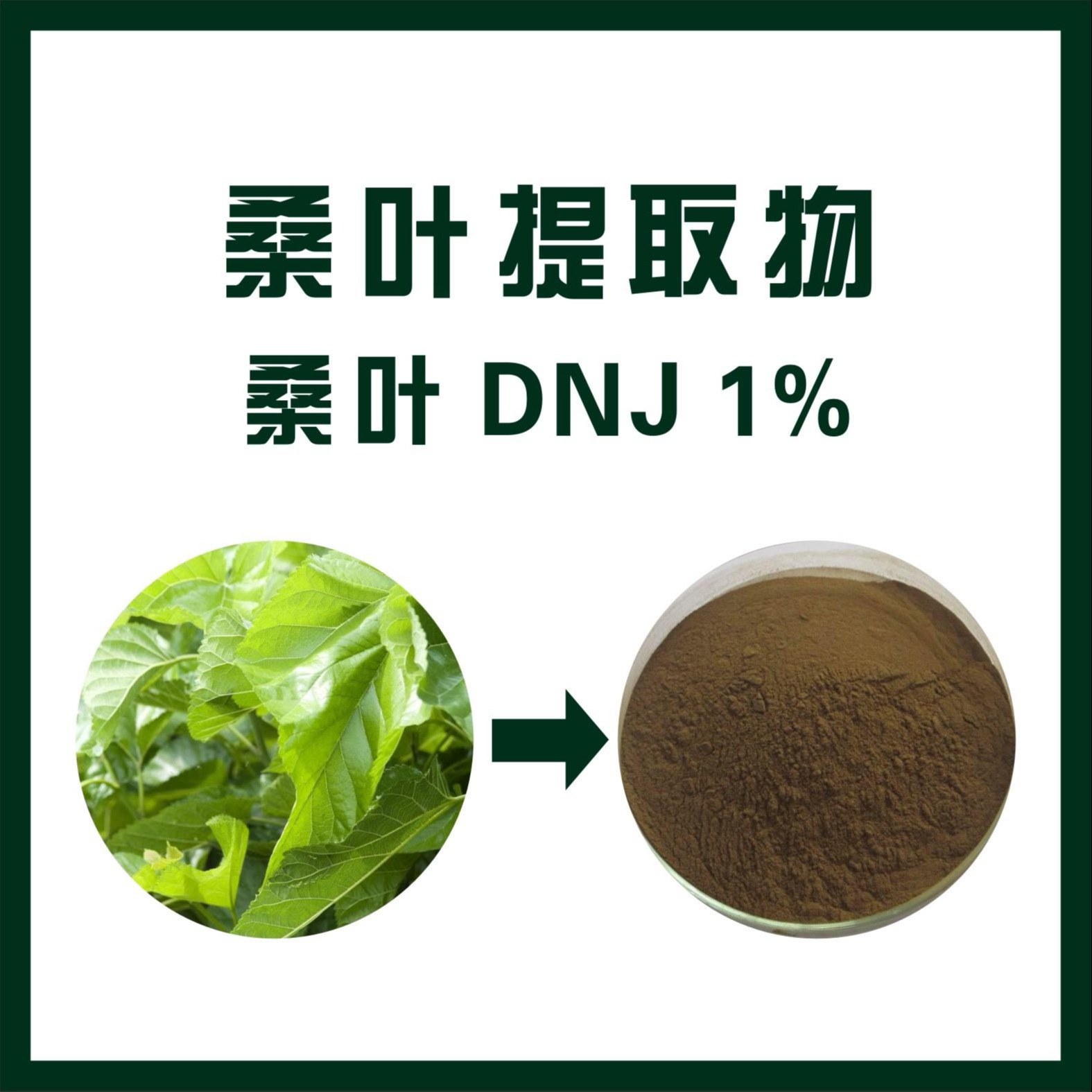 桑叶提取物桑叶dnj