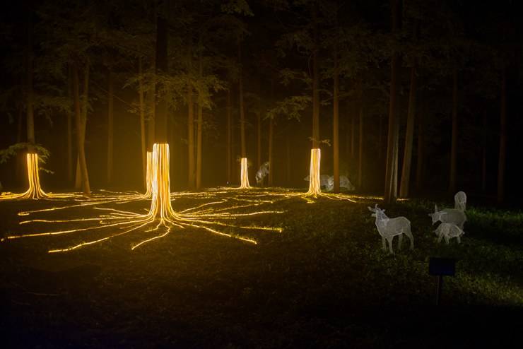 森林灯光秀设计森林灯光秀