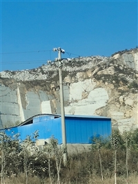 河南芝麻白-河南芝麻灰