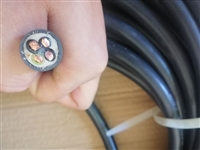 igus CF31(4G6.0)C易格斯高柔性电动机电缆
