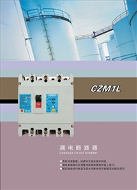 山东泽荣CZM1塑料外壳式断路器