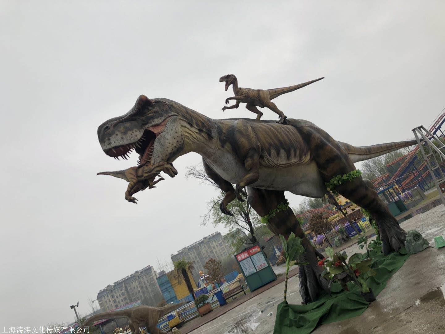 新闻衡阳雁峰恐龙展房地产开盘