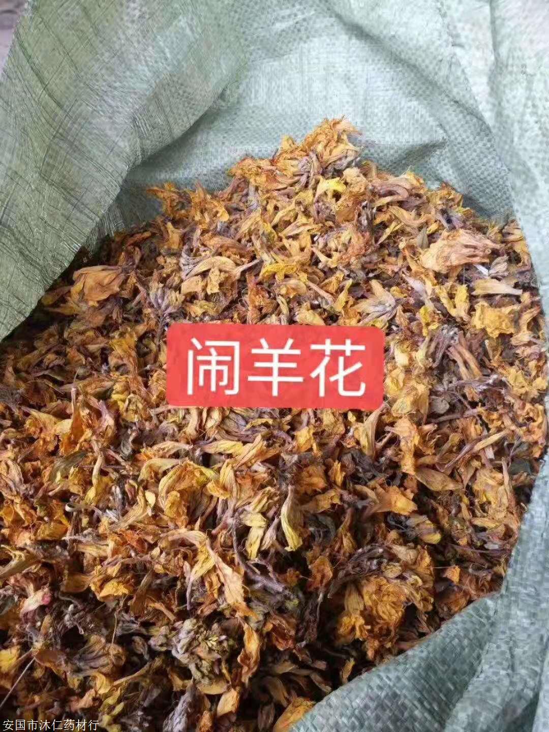 闹羊花多少钱一斤图片