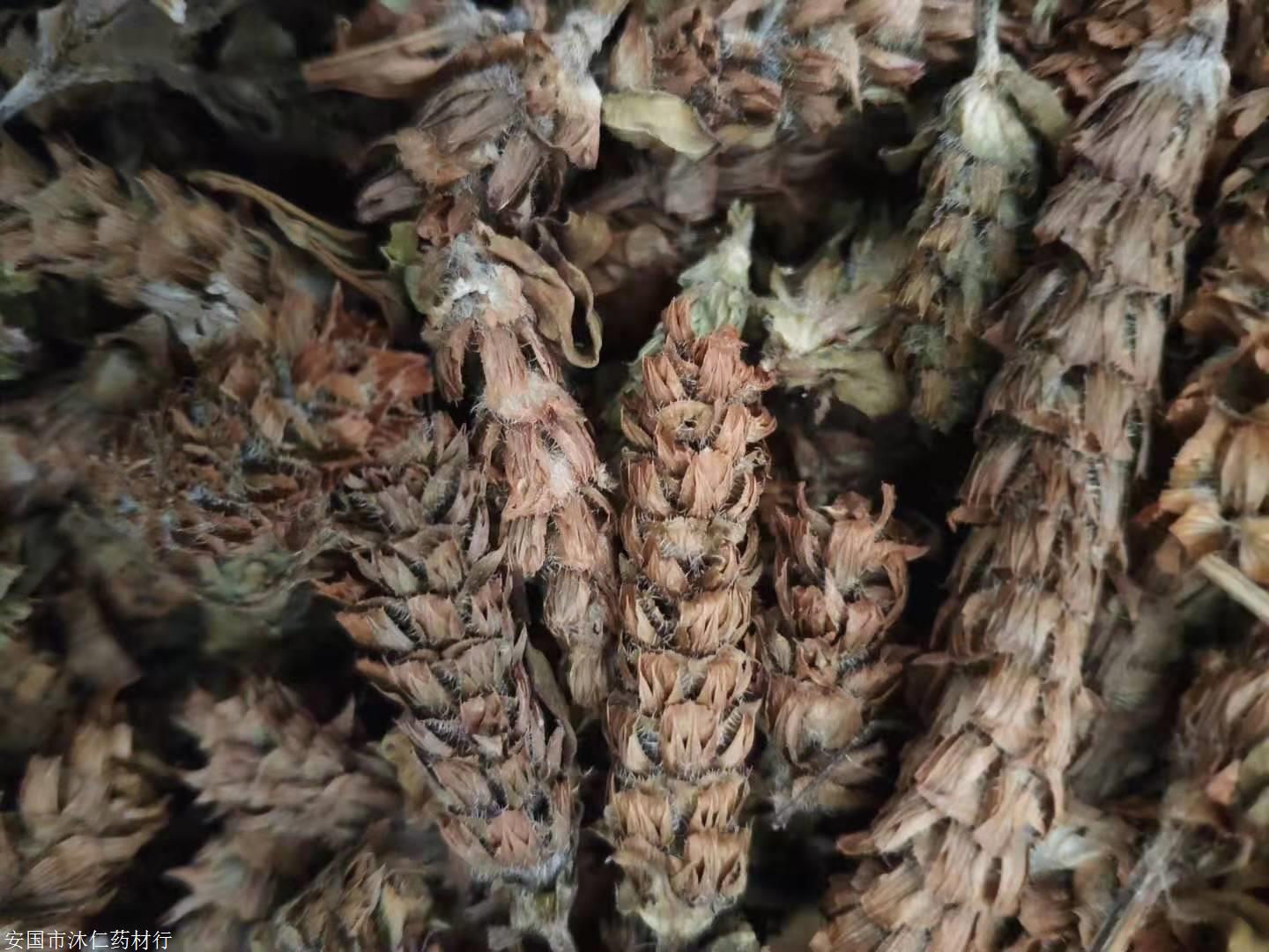 零售腹泻草a腹泻草每日报价a腹泻草价格信息