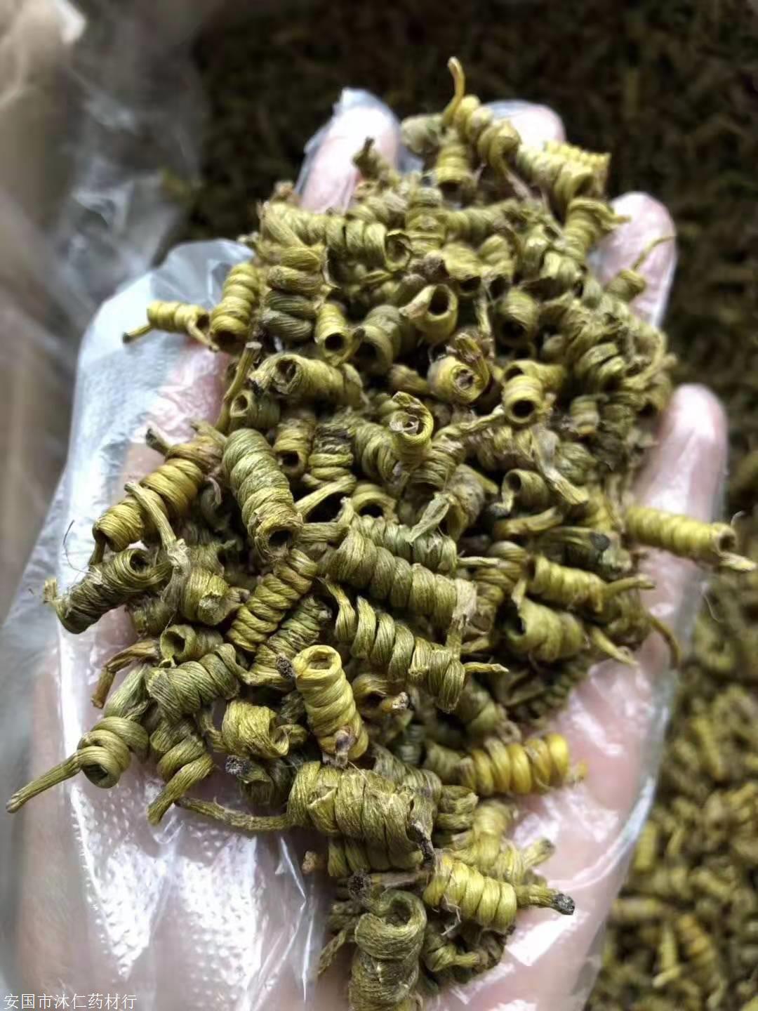 新闻奉节哪里能卖猫耳草多少钱一斤