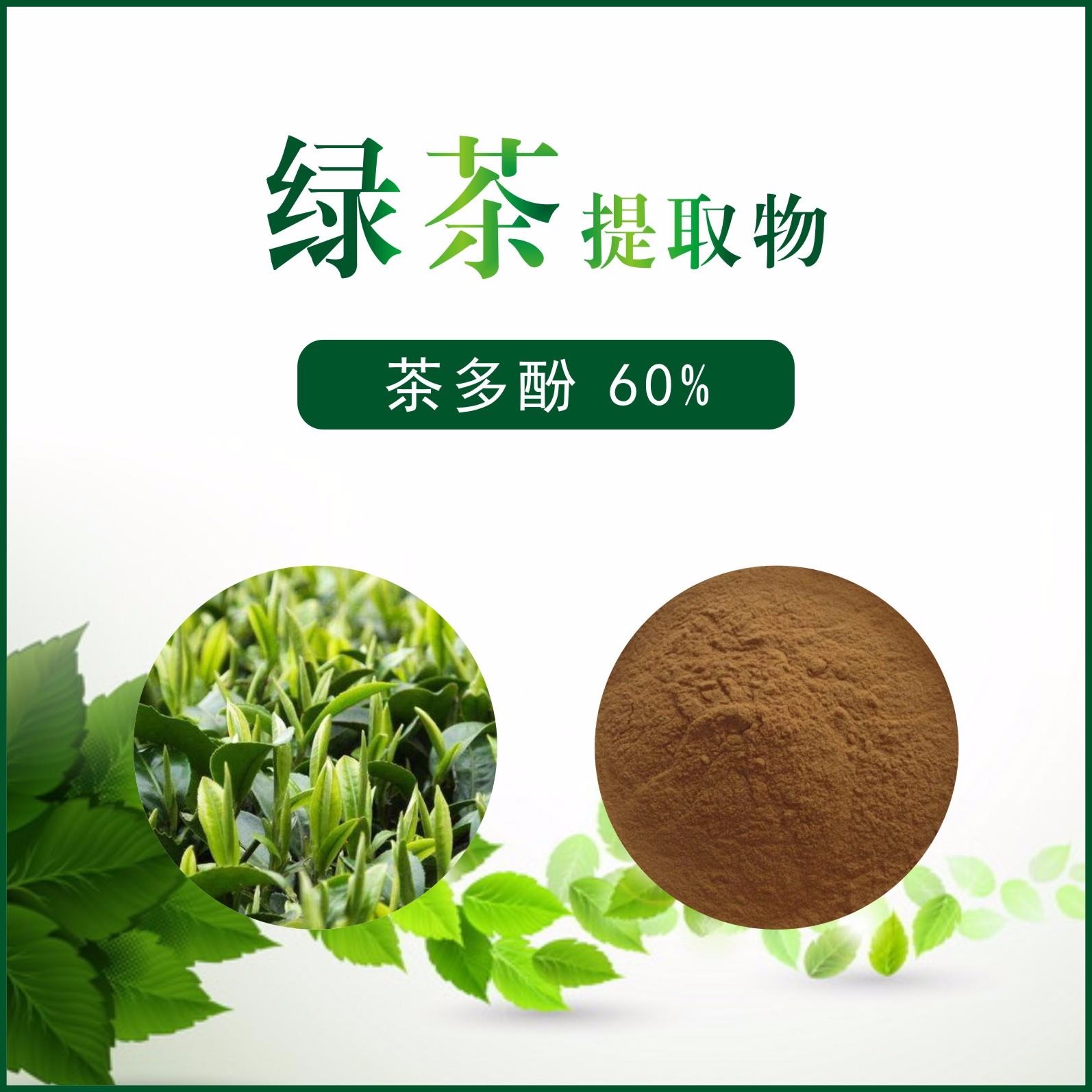 绿茶提取物 / 茶多酚60