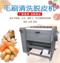 JYTP-80毛棍去皮机 土豆生姜洋芋清洗脱皮扒皮机
