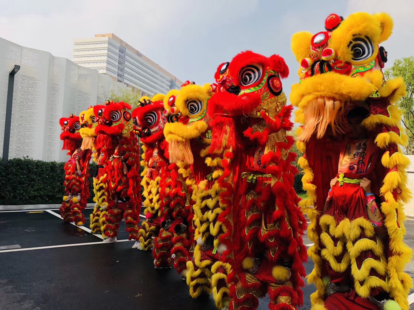 高明开业舞狮队