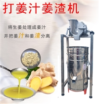 九盈TJ-105生姜榨汁机 磨姜机 渣汁分离机子 果蔬打汁机
