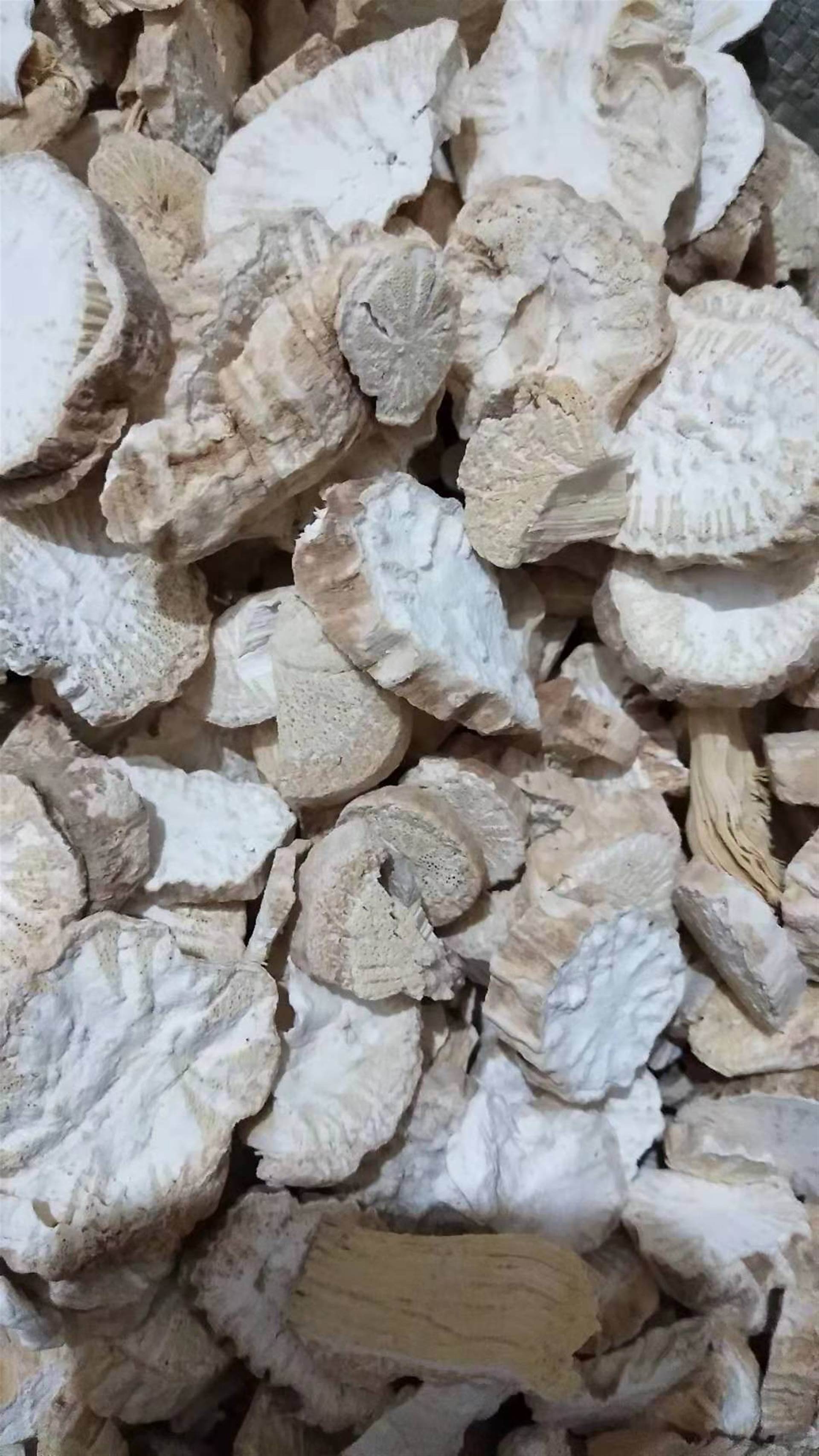 中药材批发防己防己的功效与作用