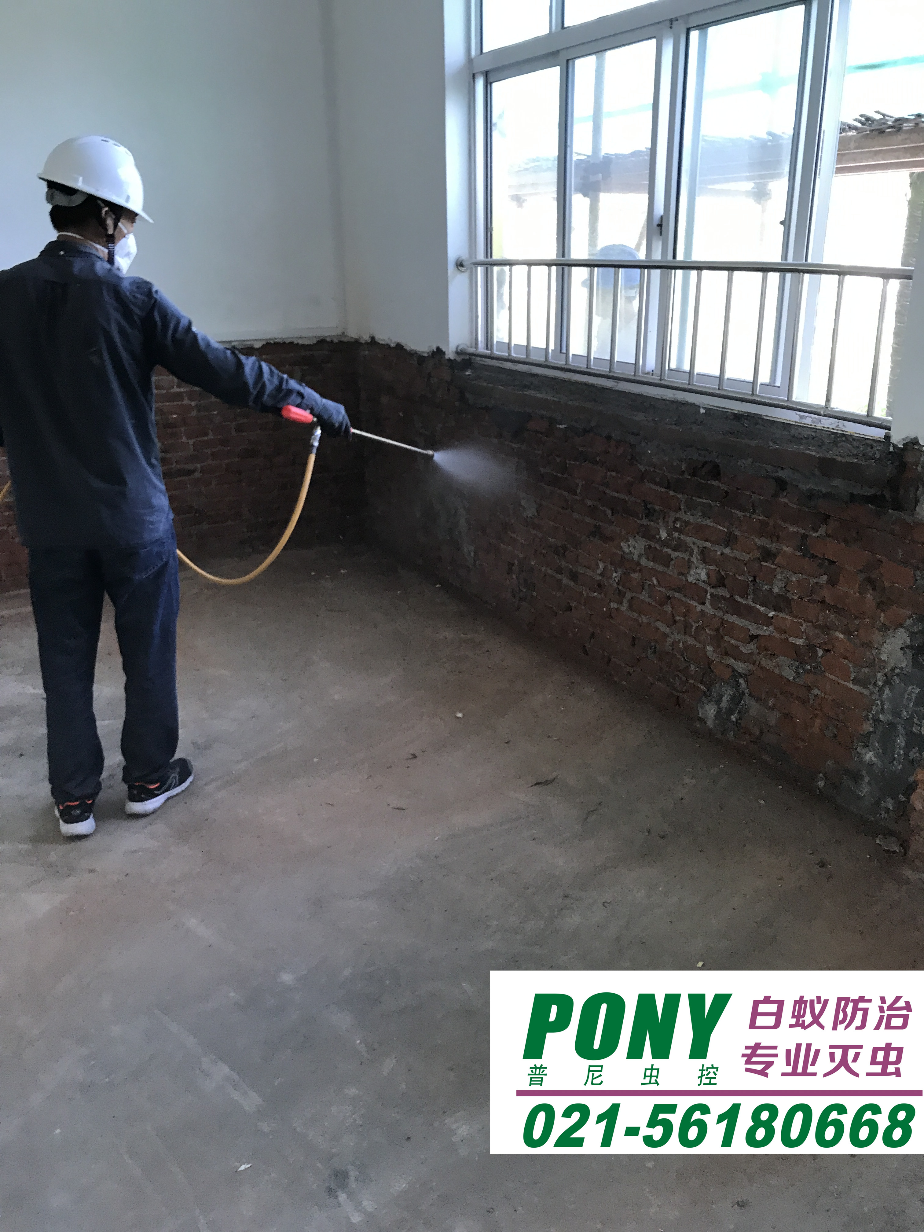 上海灭白蚁方法