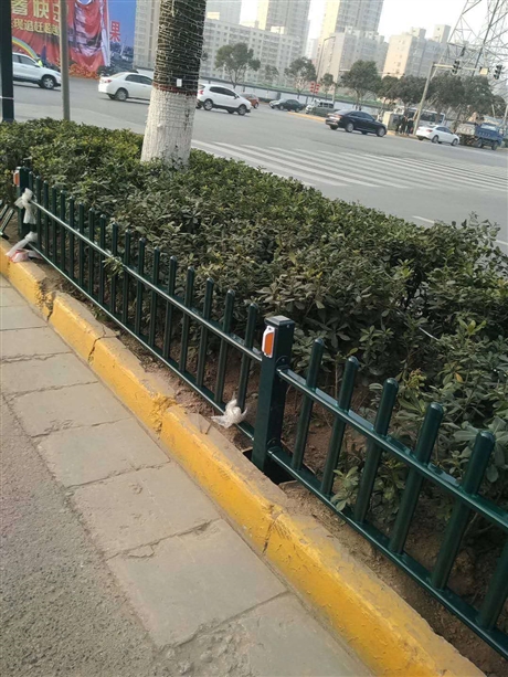草坪护栏定制-草坪围栏厂家