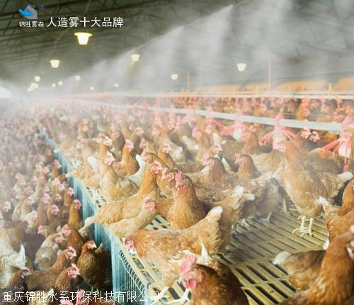 合肥人造霧 養殖場除臭設備