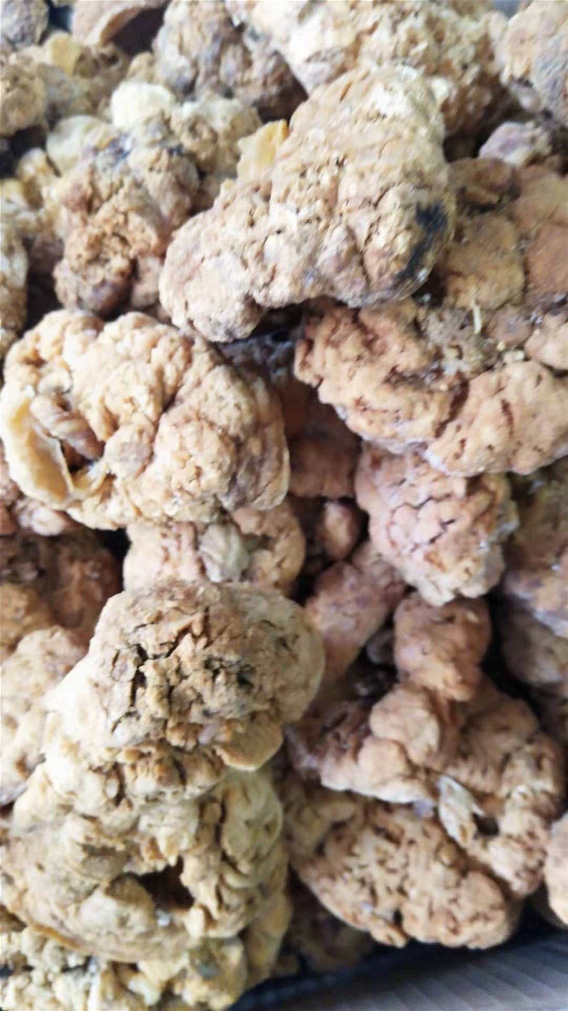 紫河车粉的食用方法紫河车的食用方法