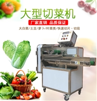广州九盈TJ-306A大头菜切丝机视频 切大白菜 切包菜馅设备厂家