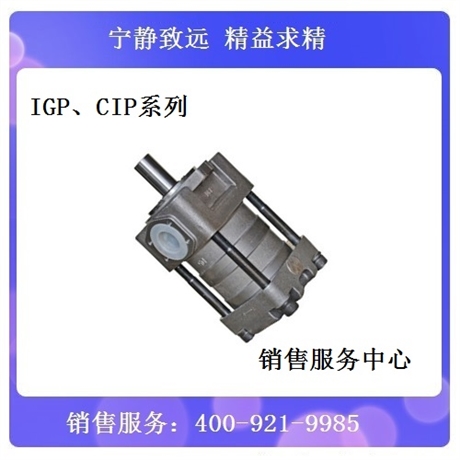 IGP5-H050F夯发齿轮泵供