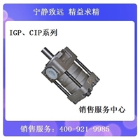 IGP5-H050F夯发齿轮泵供  老产品号值得信奈品牌