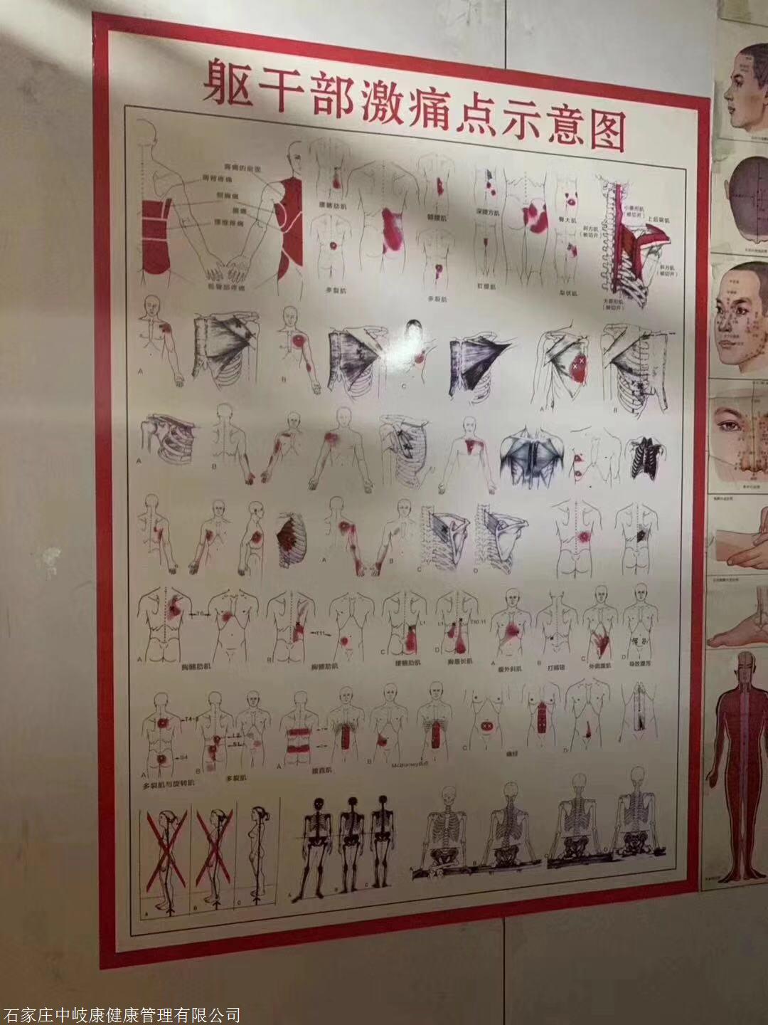 肌筋膜松解术特点:损伤小,见效快,治疗次数少,安全可靠.