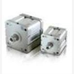 样本，NORGREN活塞杆气缸 RM/8017/M/200