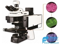 激光共聚焦拉曼光谱系统,拉曼光谱仪,共聚焦拉曼光谱显微镜