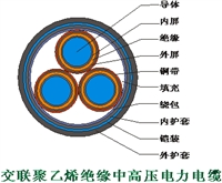 山东泽荣交联聚乙烯绝缘中高压电力电缆