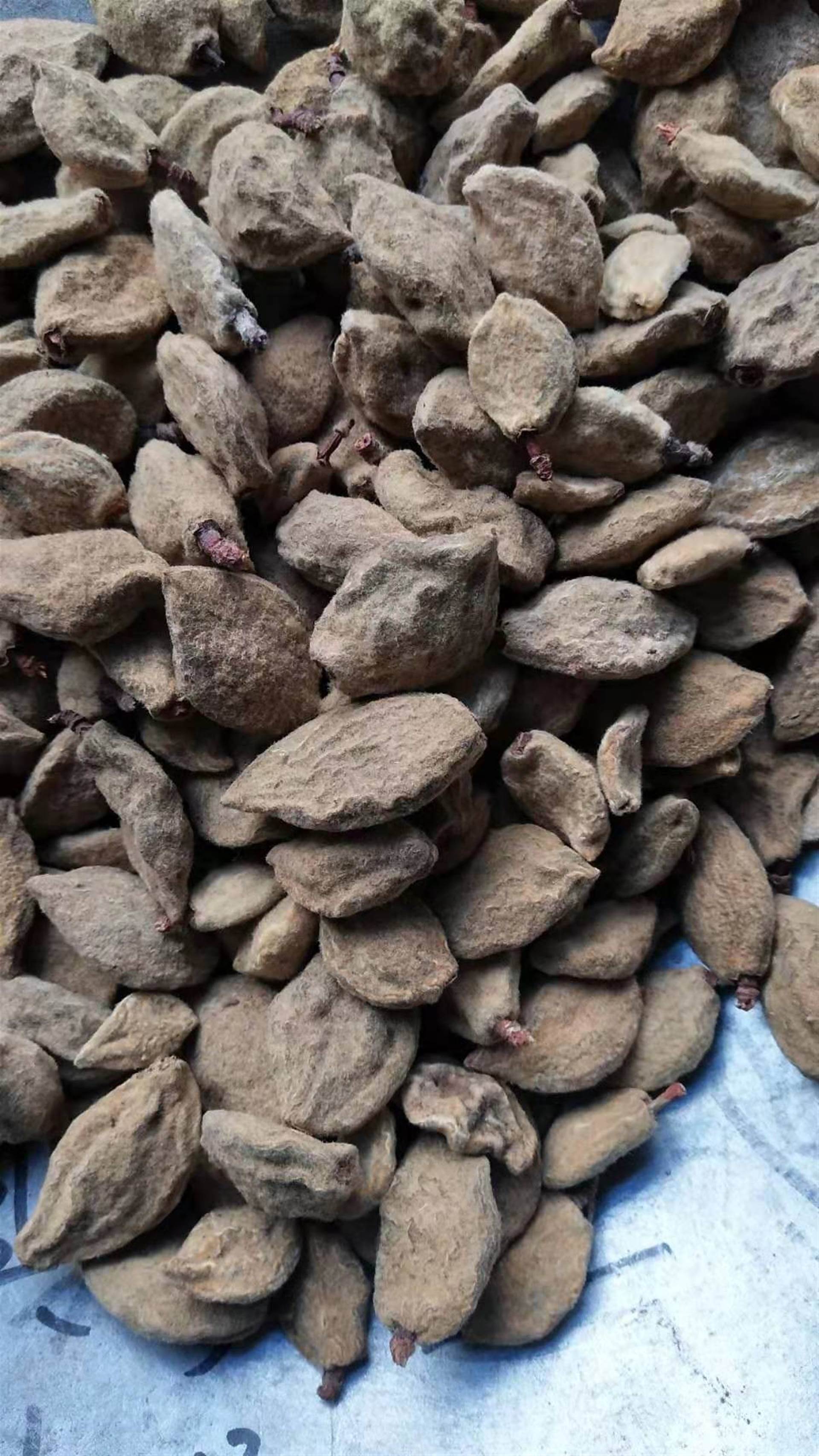 中药材批发碧桃干碧桃干批发价格